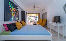 1013 Studio Garden City